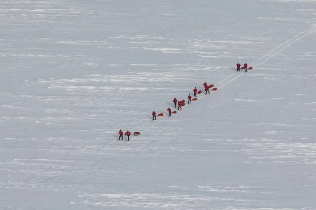 Участники экспедиции движутся на лыжах к Северному полюсу