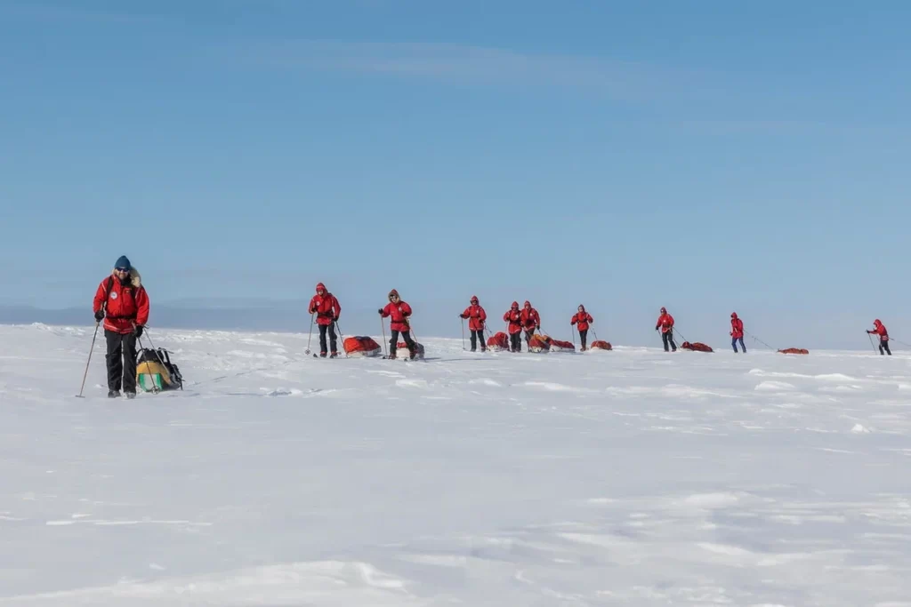 Участники экспедиции движутся на лыжах на мыс Челюскин