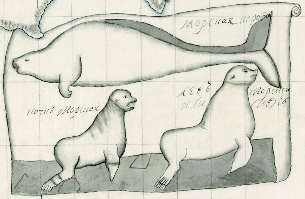 Три изображения морских животных на одном листе: вверху — «Морская корова», внизу слева — «Кот морской», внизу справа — «Лев морской или Сивуч»