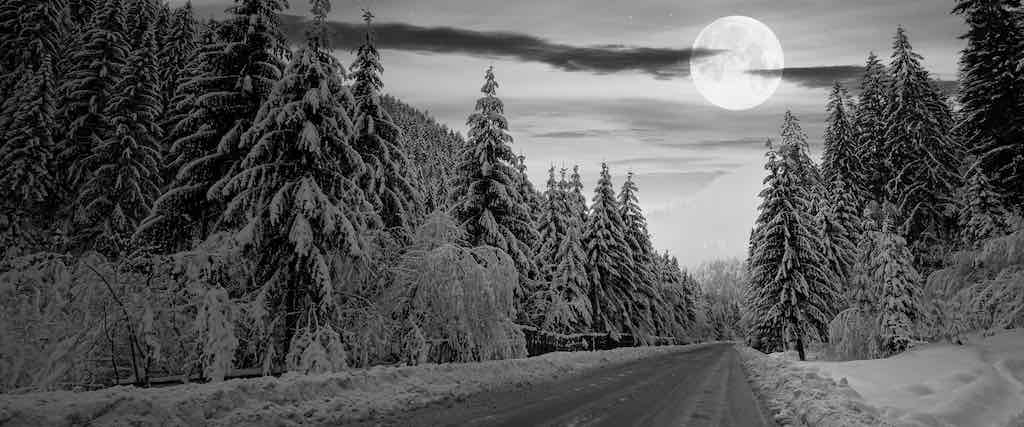 Автомобильная дорога в зимнем лесу