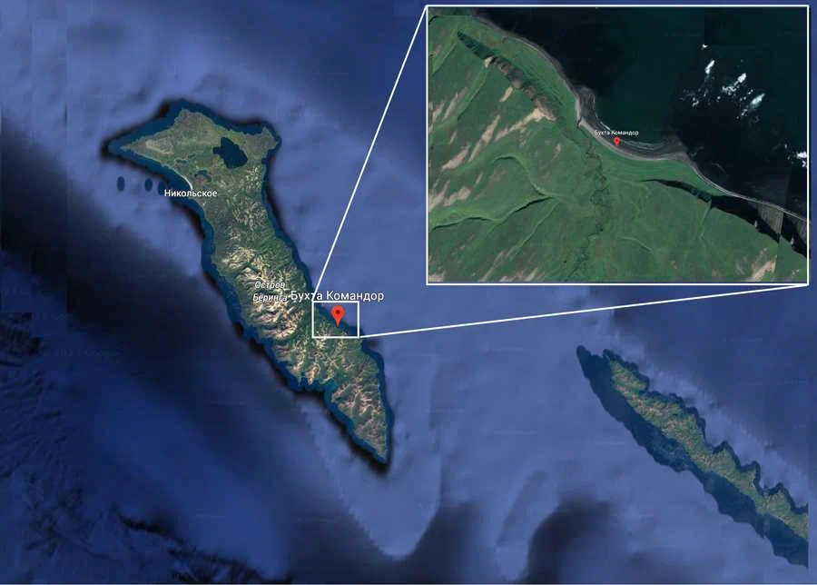 Увеличенное изображение острова Беринга