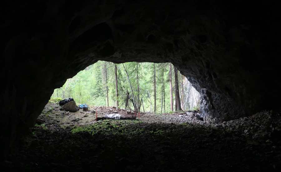 Выход из пещеры, вид изнутри