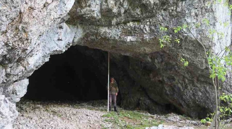 Максимальная высота свода пещеры составляет около семи метров