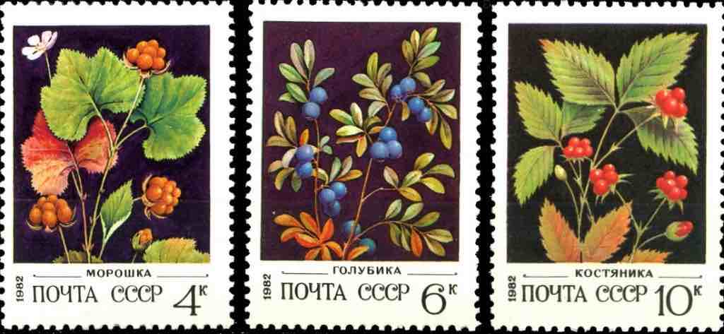 Почтовые марки СССР из серии «Флора. Ягоды» 1982 года 