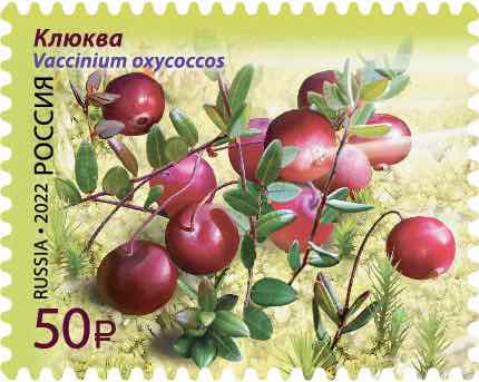 Почтовые марки из серии «Флора России. Ягоды» 2022 года