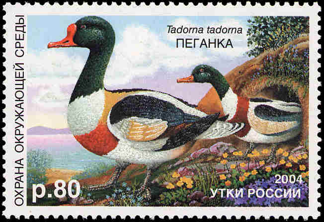 Марка Почты России 2004 года, посвящённая пеганке