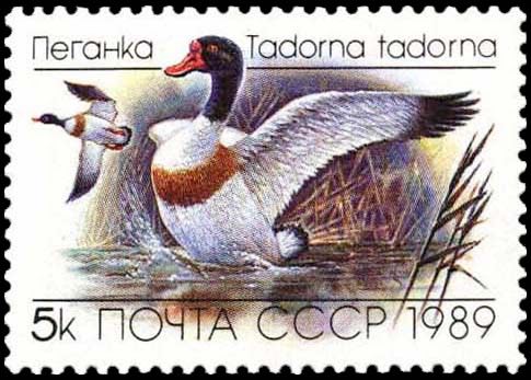 Марка Почты СССР 1989 года, посвящённая пеганке