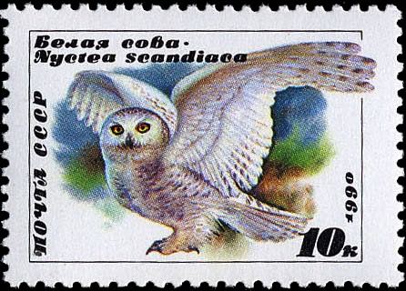 Марка Почты СССР 1990 года с изображением белой совы 