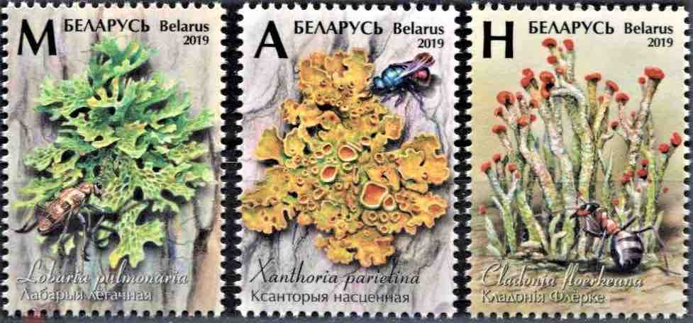 Марки Почты Беларуси 2019 года, посвящённые мхам и лишайникам