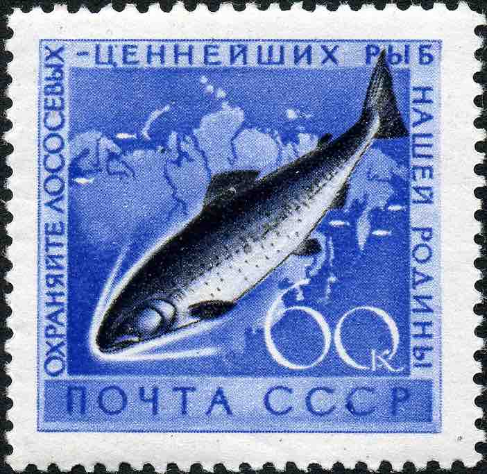 Марки Почты СССР 1959 и 1960 годов, посвящённые лососёвым и сиговым рыбам