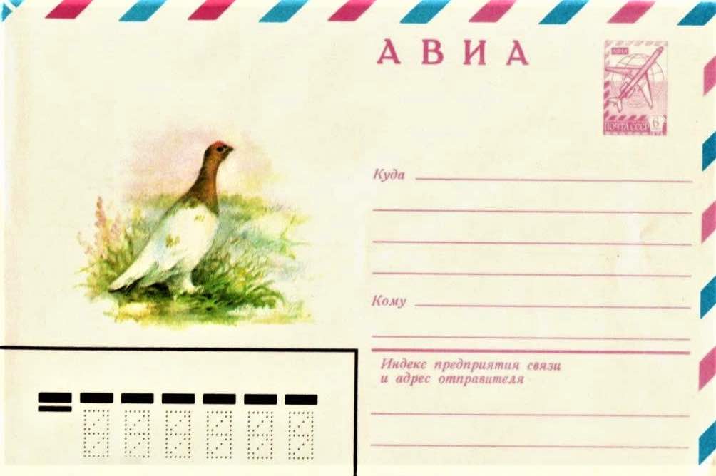 Маркированный конверт Почты СССР 1981 года с изображением белой куропатки