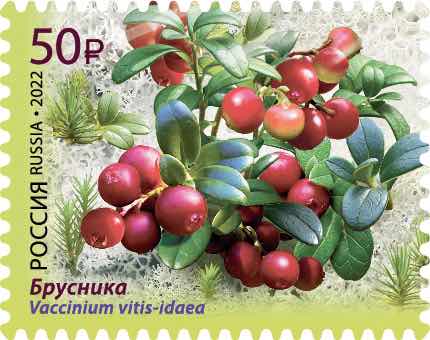Почтовые марки из серии «Флора России. Ягоды» 2022 года
