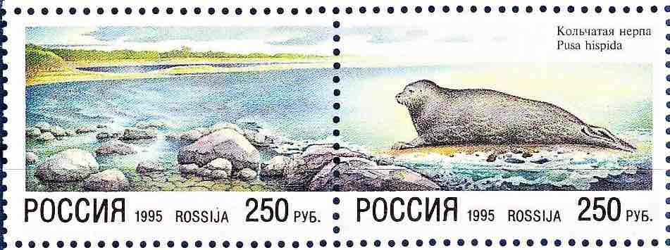 Марка Почты России 1995 года, посвящённая кольчатой нерп