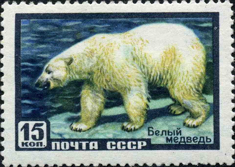 Марка Почты СССР 1957 года из серии «Фауна СССР», посвящённая белому медведю 