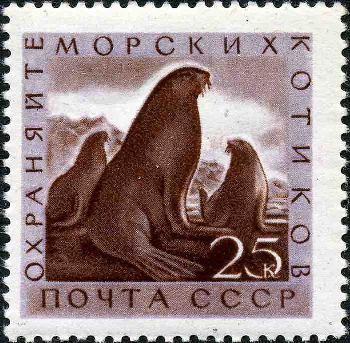 Марка Почты СССР 1960 года, посвящённая морским котикам