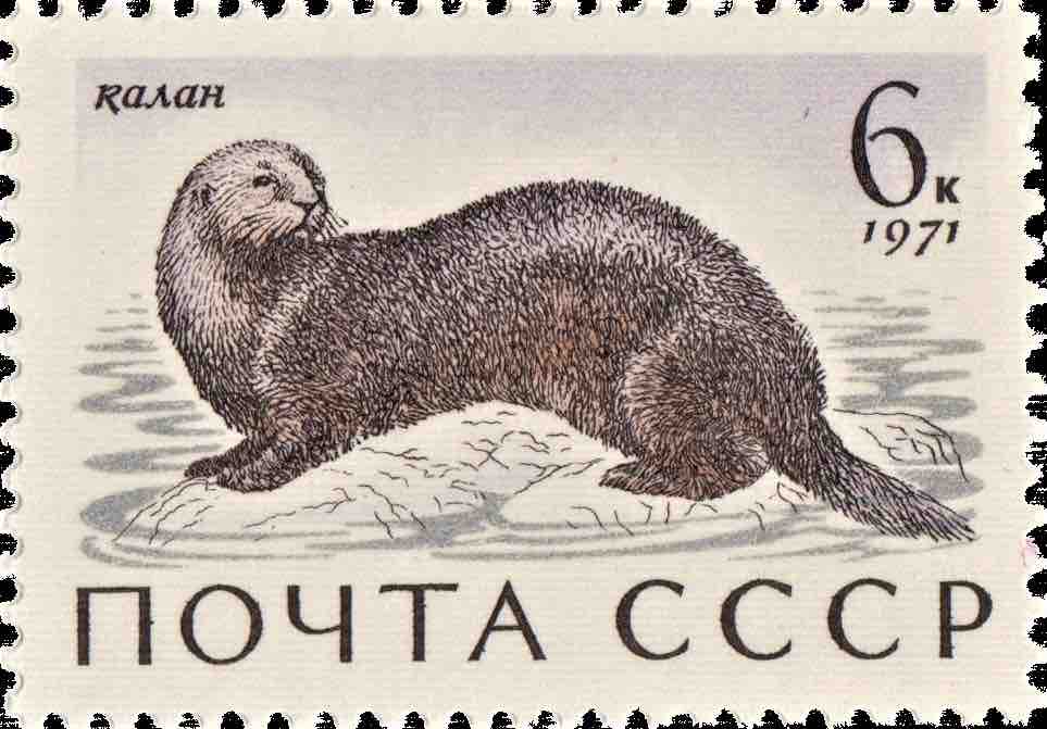 Марка Почты СССР 1971 года, посвящённая калану 