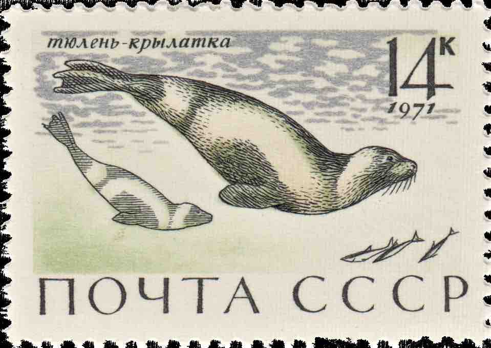 Марка Почты СССР 1971 года, посвящённая тюленям
