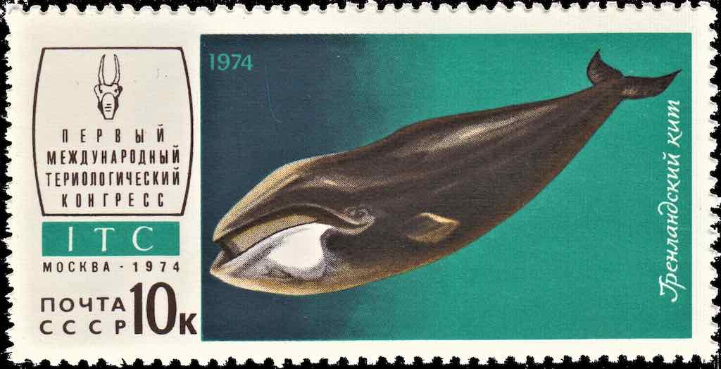 Марка Почты СССР 1974 года, посвящённая гренландскому киту 