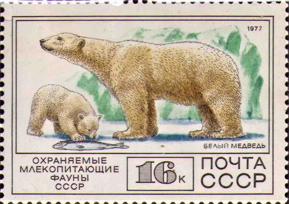 Марка Почты СССР 1977 года, посвящённая белому медведю 