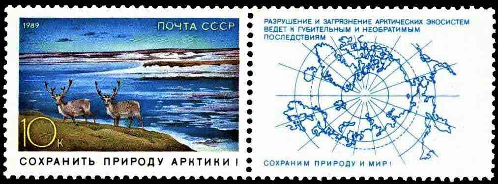 Марка Почты СССР 1989 года из серии «Сохраним природу Арктики» с изображением северных оленей