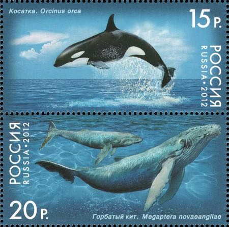 Марки Почты России 2012 года, посвящённые горбатому киту и косатке
