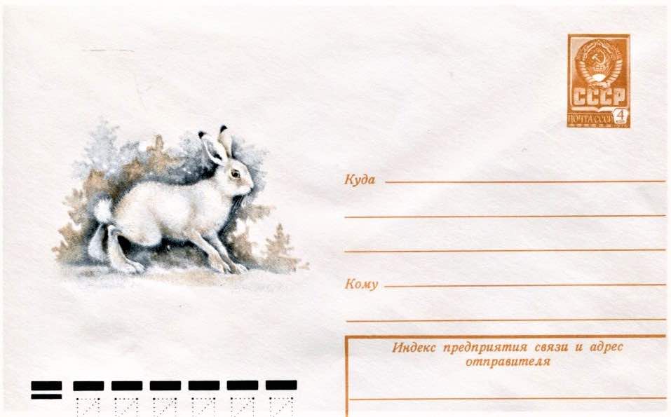 Маркированный конверт Минсвязи СССР 1979 года с изображением зайца-беляка