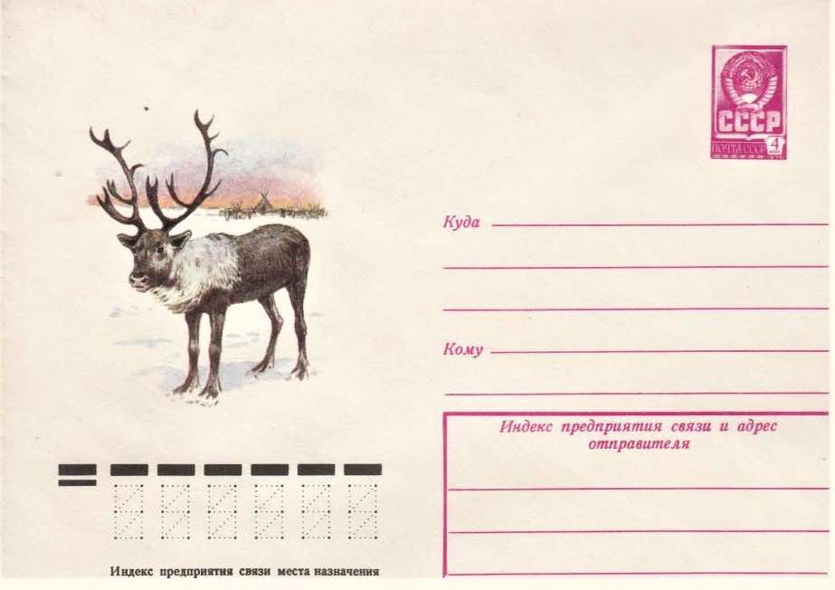 Маркированный конверт Минсвязи СССР 1979 года с изображением северного оленя 
