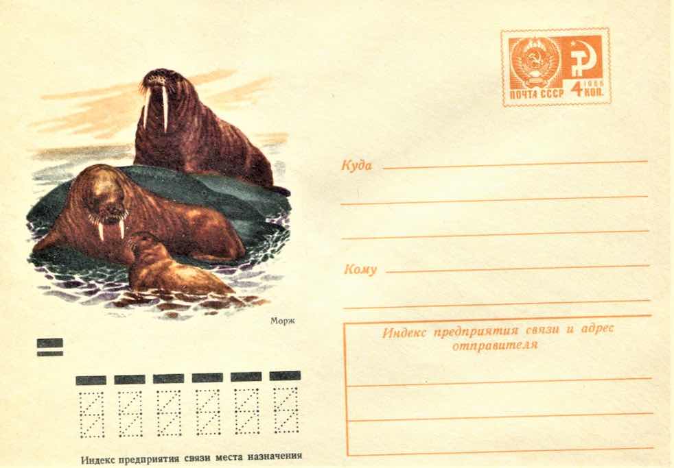 Маркированный конверт Почты СССР 1970 года с изображением моржа