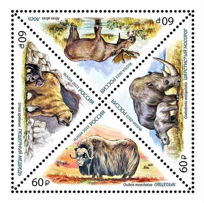 Совсем недавно, в феврале 2023 года, в серии «Мамонтовая фауна России» вышла почтовая марка, посвящённая овцебыку. Здесь же – картмаксимум на эту тему